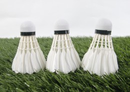 轻盈的羽毛球图片