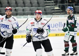 曲棍球运动图片大全