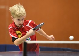 正在打乒乓球的小孩图片