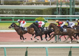 激烈的赛马比赛图片