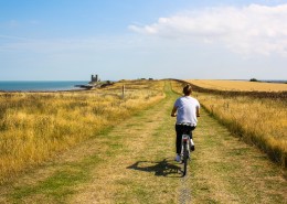 骑单车的人图片