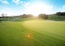 休闲运动高尔夫球场图片