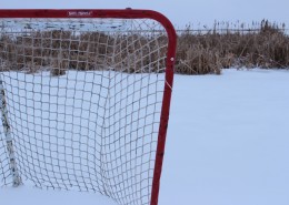 球场围网图片大全