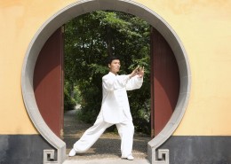 太极拳图片大全