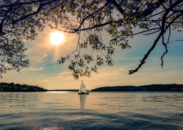 海上航行的帆船图片