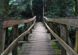 古朴的木桥图片大全