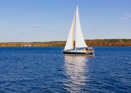 水面上的帆船图片