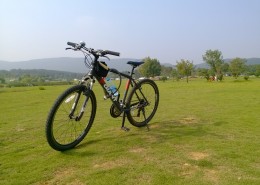 一辆自行车图片