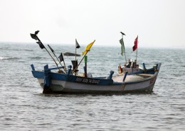 各种各样的渔船图片