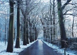 向远处延伸的公路图片