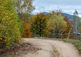 乡间泥泞的土路图片
