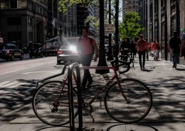 代步的自行车图片大全