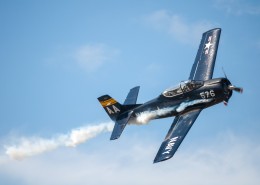 翱翔的飞机图片