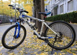 寂寞的单车图片