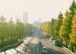 唯美城市街道公路图片