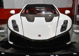 西班牙斗牛士：Spania