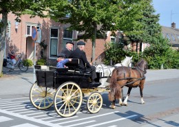荷兰传统马车图片