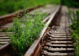 历史记忆中的铁路图片