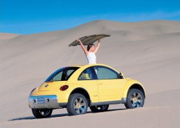 甲壳虫图片大全