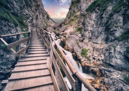 木制的栈道图片