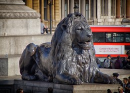 威武的石狮子图片