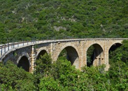 坚固的桥梁图片