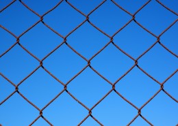 结实的铁丝网图片大全