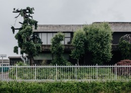 城市绿化的图片