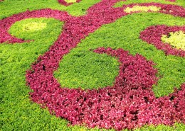 公园园艺设计图片