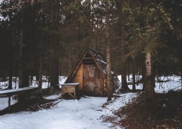 独特的木头屋图片