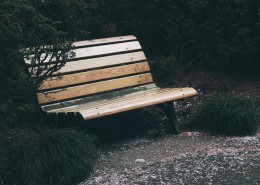 户外木制的长椅图片大全