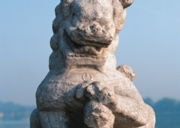 可爱的小石狮图片