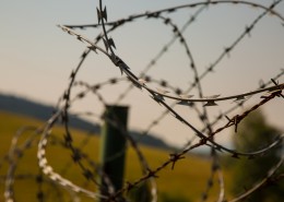 铁丝网图片大全