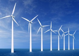 海上风车园图片