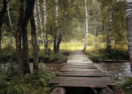 木质结构的桥图片