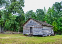 森林中的小木屋图片