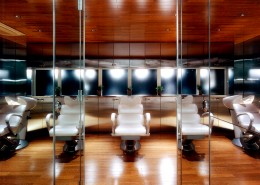 salon mimosa-深田恭通作品图片大全