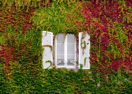 外形各异的窗户图片