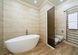 卫生间室内设计效果图片