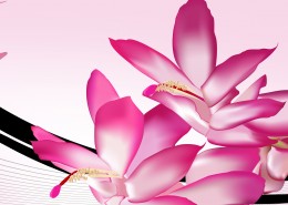 粉色温馨花朵三联画图片