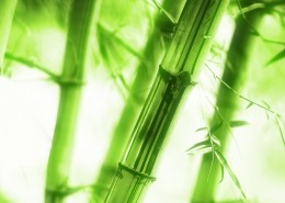 绿色清新家居三联画图片