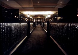 Frescoll-深田恭通作品图片