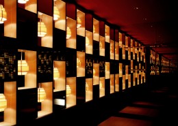 GOHAN,Tsudanuma-深田恭通作品图片