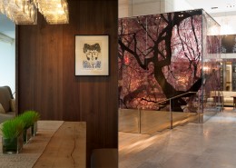 华盛顿柏悦酒店客房图片