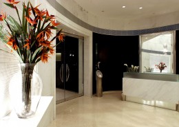 香港农甫道18号会所大厅图片