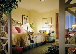 开罗尼罗河广场四季酒店装潢图片