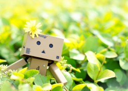 阿楞纸箱人图片大全