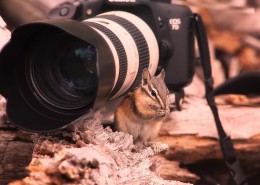 佳能相机图片大全