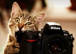 尼康照相机图片