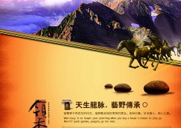 领秀天域房地产广告海报图片